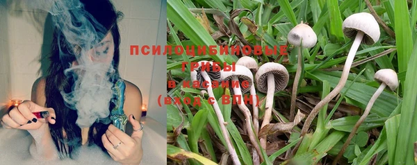 МДПВ Осинники